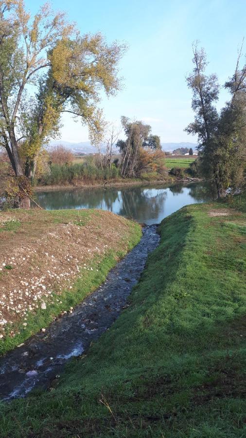 Sulla Ciclabile Apartment Lungo Il Fiume Adige Zevio Экстерьер фото