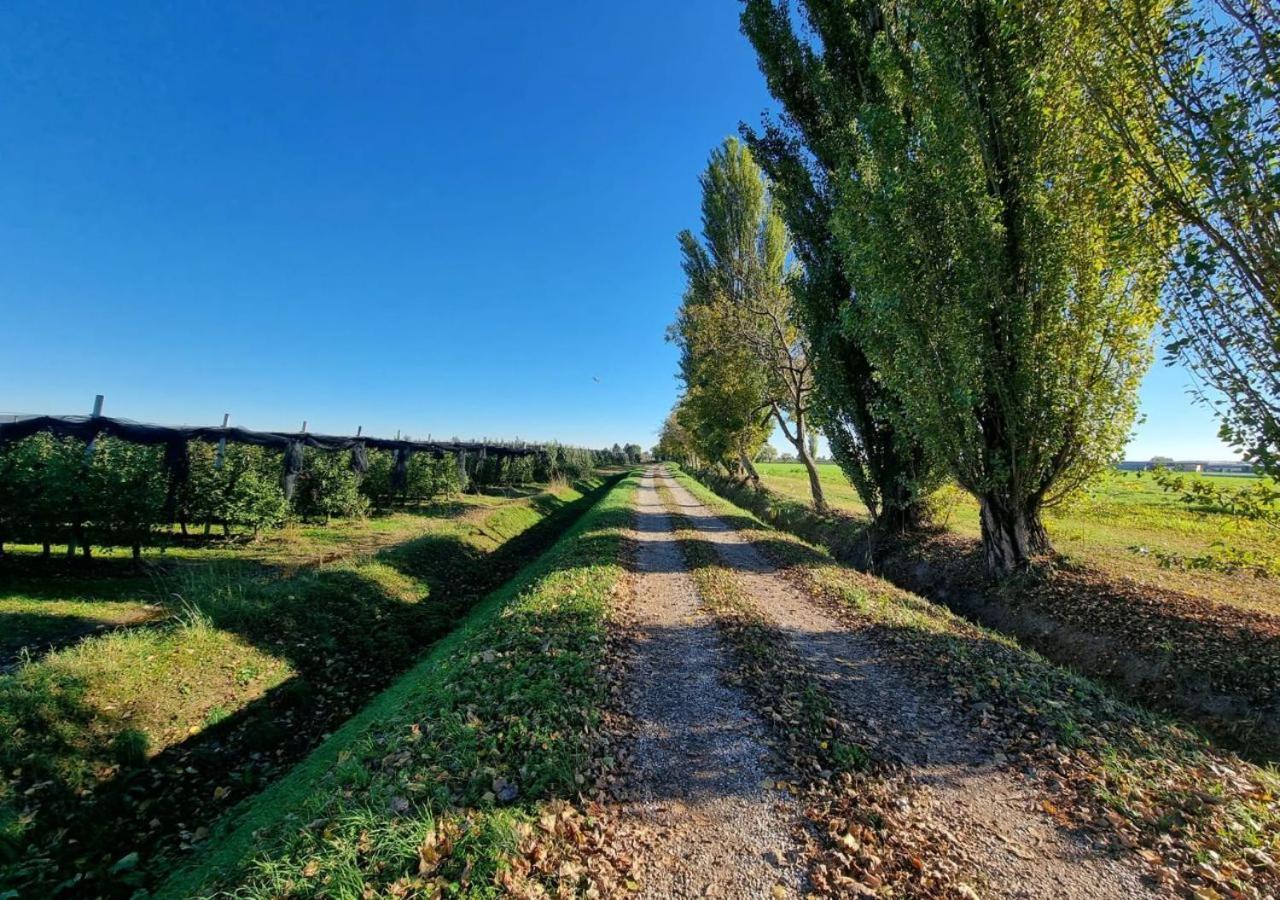 Sulla Ciclabile Apartment Lungo Il Fiume Adige Zevio Экстерьер фото