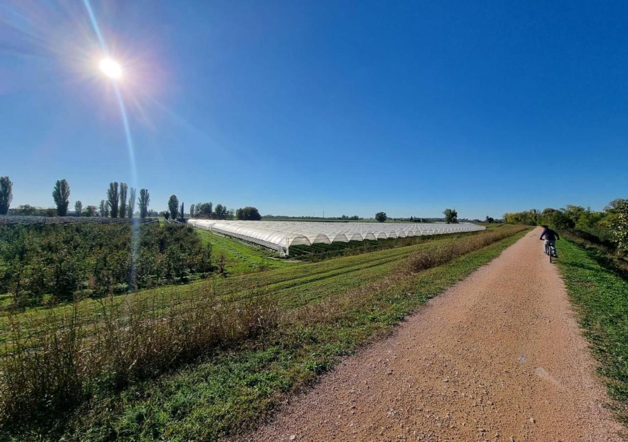 Sulla Ciclabile Apartment Lungo Il Fiume Adige Zevio Экстерьер фото